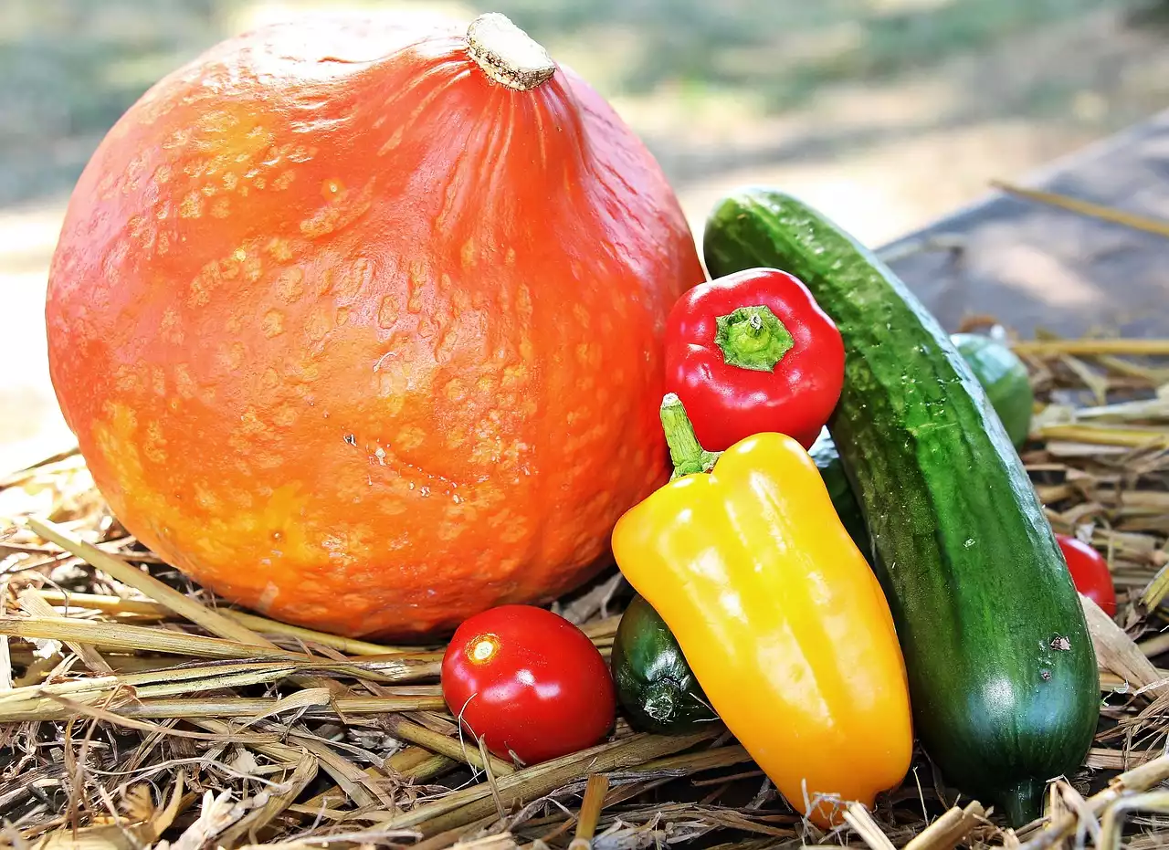 Jak najlepiej wykorzystać produkty sezonowe: przewodnik po jesiennych warzywach
